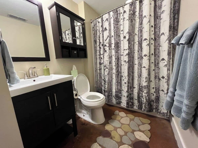 Interior 2, Chic Walkable apt With Rooftop Views, Roanoke City