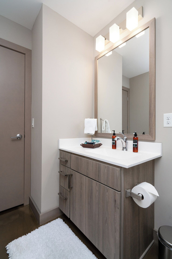 Bathroom 4, Sable 305 - One Bedroom, Hennepin