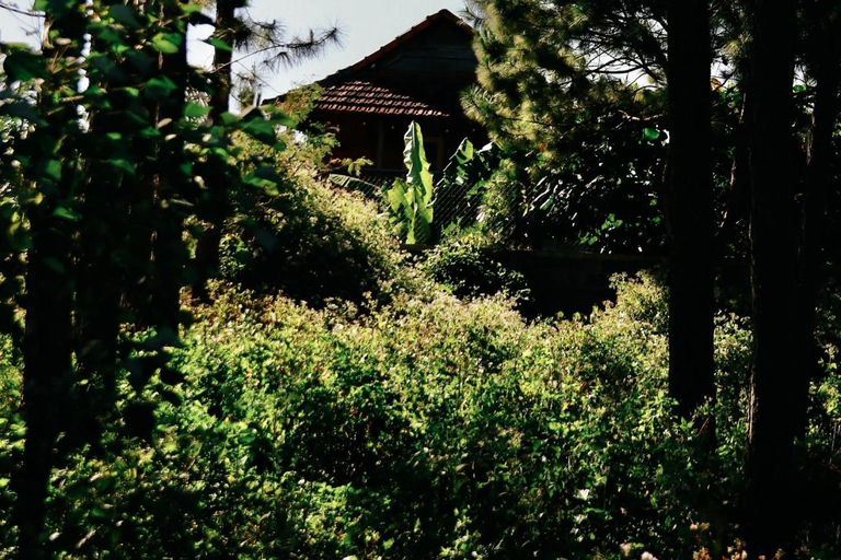 5, Pine Peak Bao Loc, Bảo Lộc