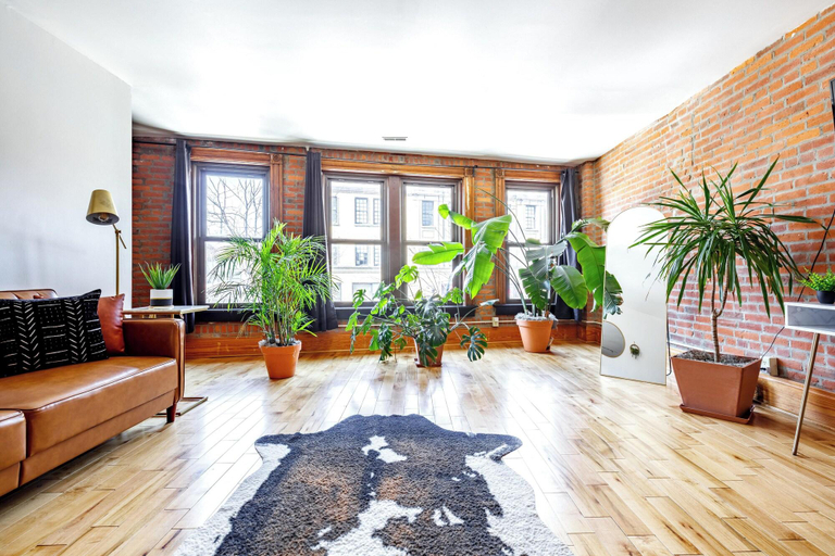 Room 3, Jungle House Luxury Lofts Â€“ Short North High S, Franklin