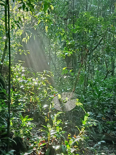 Others 2, The Rainforest Village, Kotapola