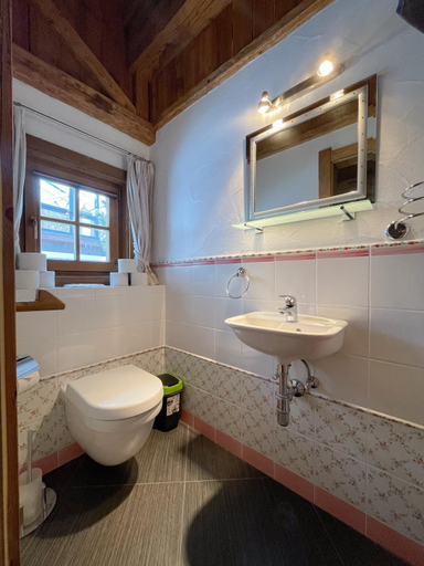 Bathroom 3, Gasthof Ochsalm, Kitzbühel