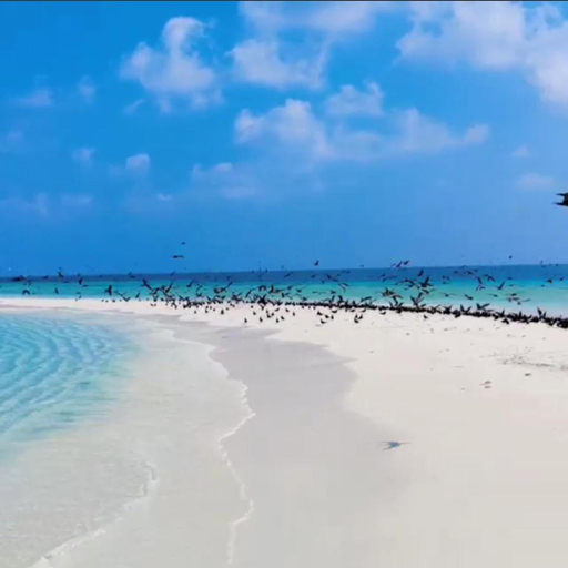 Others 4, Oceanic Inn, Gaafu Alifu Atoll