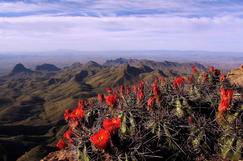 Miscellaneous 4, Chisos Mountain Lodge, Brewster