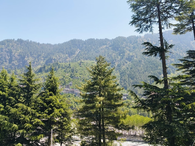 Others 4, The Nature Crest Manali, Kullu