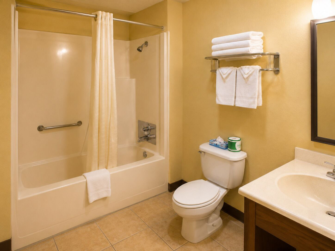 Bathroom 4, Extended Stay Snyder, Scurry