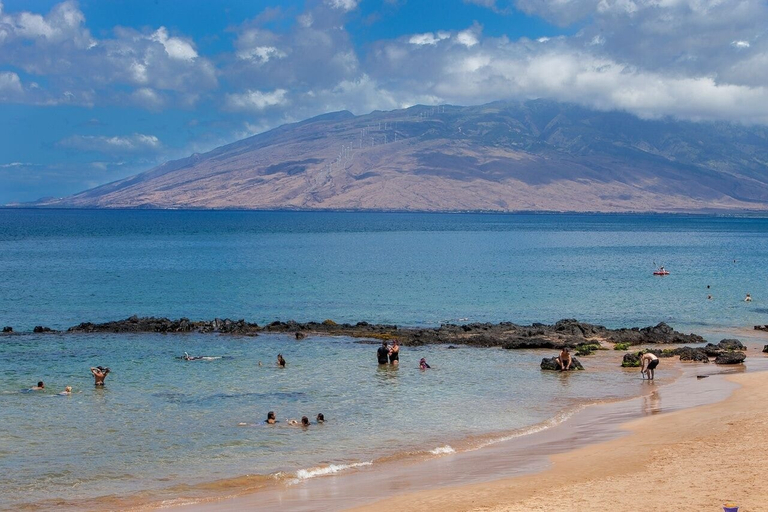 Beach 2, Kihei Akahi D-207 1 Bedroom Condo