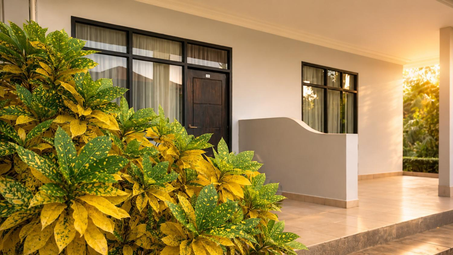 Exterior & Views