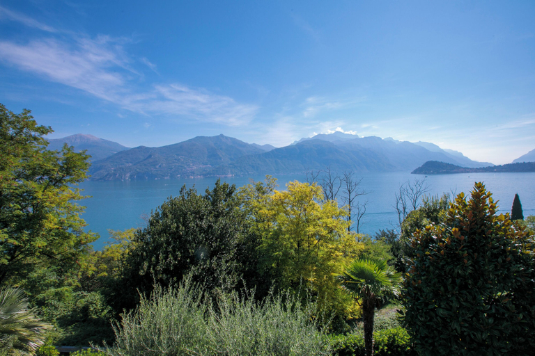 Others 5, Sonenga Panoramic Terrace, Como