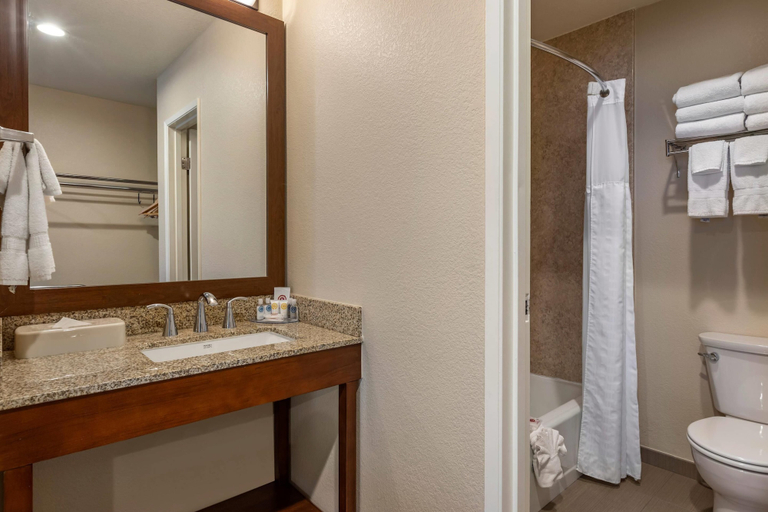 Bathroom 4, Comfort Inn Bishop, Inyo