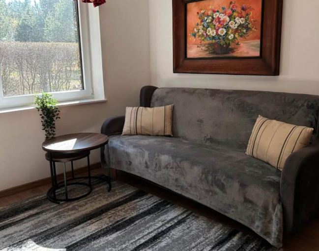 Living room 4, Large Holiday Villa With Private Garden, Wejherowo