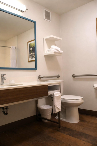 Bathroom 3, Hampton Inn Summersville, Nicholas