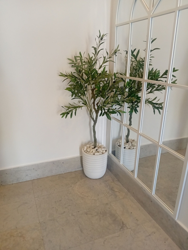 Interior 5, Sandra 31, La Marsa