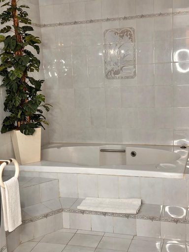Bathroom 4, Hotel Del Fresno, Fresnillo