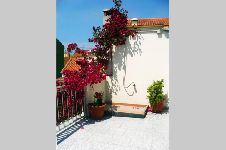 Others 5, Casa Afonso Guesthouse, Peniche