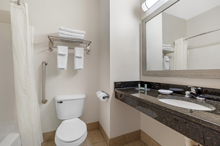 Bathroom 4, Best Western Plover-Stevens Point Hotel & Conference Center, Portage