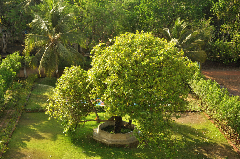 Property grounds 5, Horizon Grande By Metric Homes, Sindhudurg