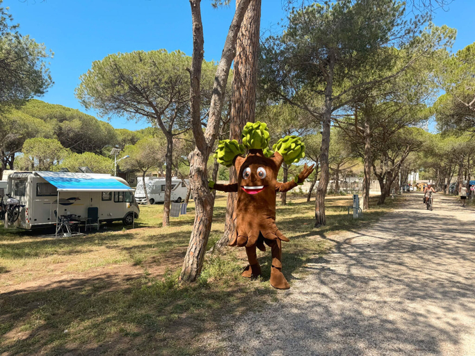 Miscellaneous, La Tamarissière Village, Hérault