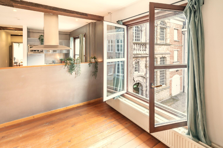 Kitchen, The Old Town Lodge in Antwerp | 3BBK| NS| , Antwerpen