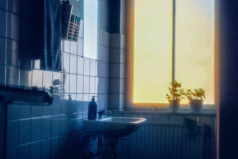 Bathroom, Bed and books pa Osterlen, Ystad