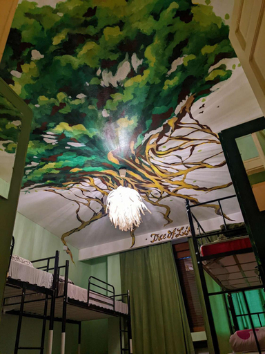 Food & Drinks, Re-Born Hostel, Timisoara