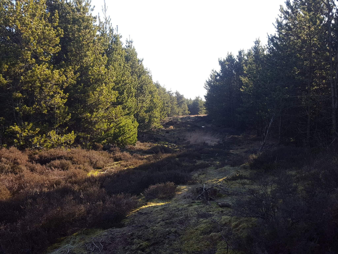 Others 4, 6 person holiday home in Rømø, Tønder