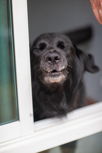 Bedroom, One one house (Arbors house 2) , Muang Chiang Mai