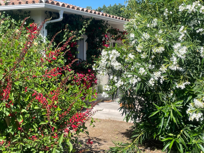 Others 3, Casa Fiorita, Haute-Corse