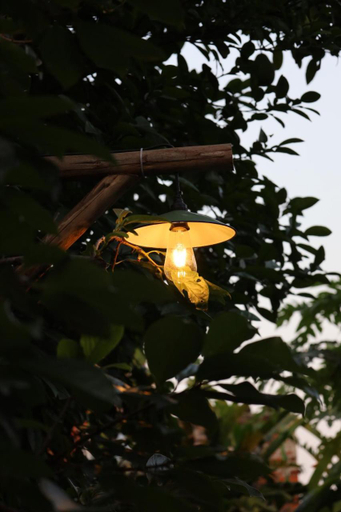 Others 2, Tam Coc Thoms House, Hoa Lư