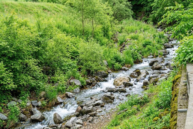 Others 4, Dorothy Valley Pension Yangpyeong, Hongcheon