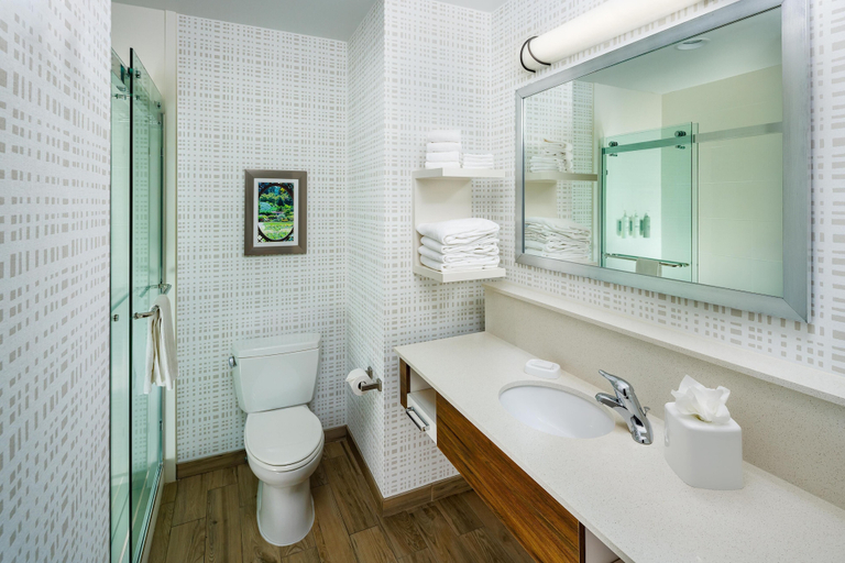 Bathroom 5, Hampton Inn & Suites Asheville Biltmore Village, Buncombe