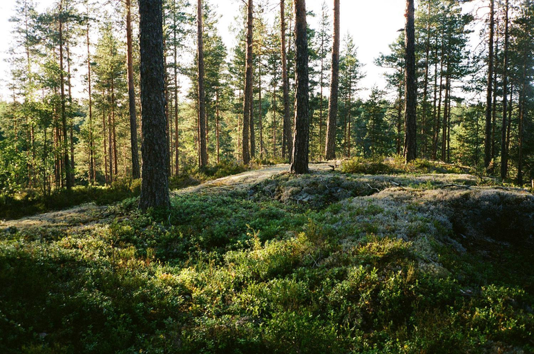 Surrounding environment