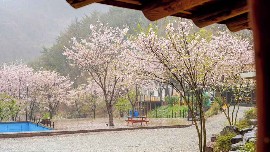 Room 5, Mungyeong Between Mountains Pet Pension, Mungyeong
