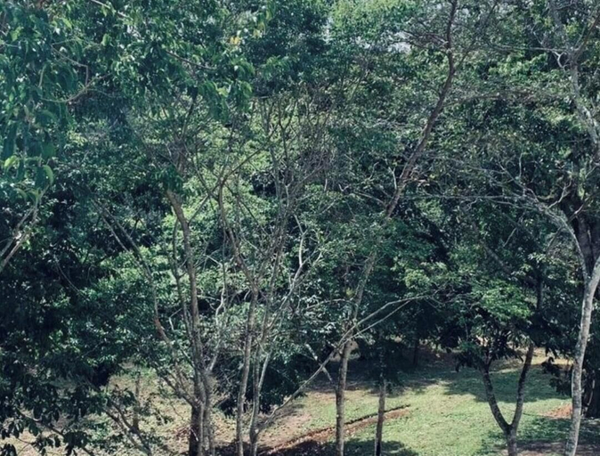 Terrace/patio 3, Chalé Pico Alto, Guaramiranga