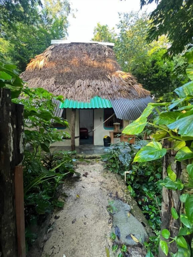 Exterior 5, Mon Ami, Flores