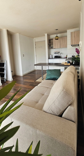 Living area 2, Departamento suite Valdivia, Valdivia