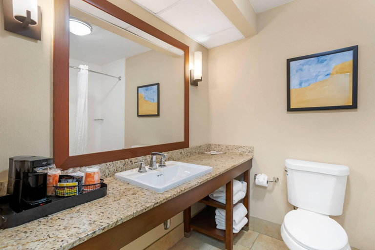 Bathroom 5, Comfort Suites Gastonia - Charlotte, Gaston