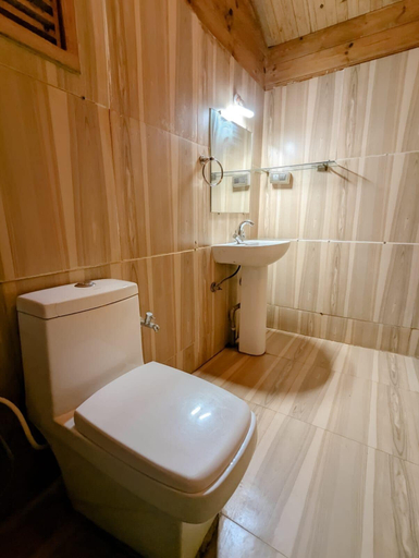 Bathroom 2, Greenland cottage, North Goa
