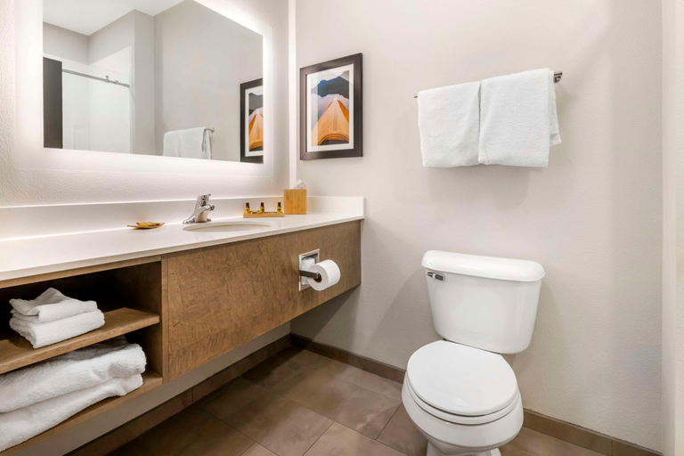 Bathroom 5, Best Western Plus Lacrescent / Lacrosse, Houston