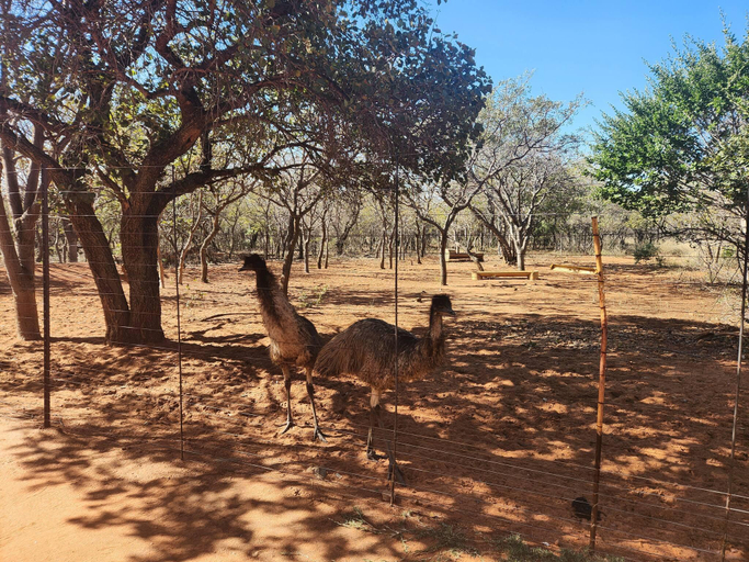 5, 5-Sleeper Game Farm Chalet Harties area, Bojanala
