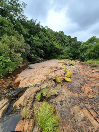 3, 5-Sleeper Game Farm Chalet Harties area, Bojanala