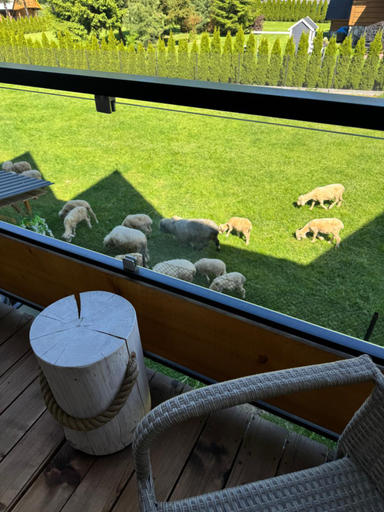 Others 4, Kominkowy Chill - Jacuzzi, Sauny & Dwa studia z prywatnym jacuzzi, Tatra
