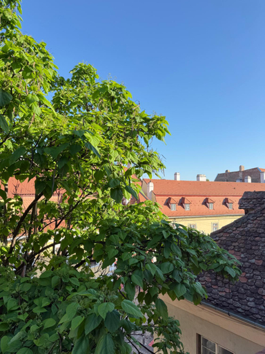 Others 4, Casa Weidner Hotel Sibiu, Sibiu