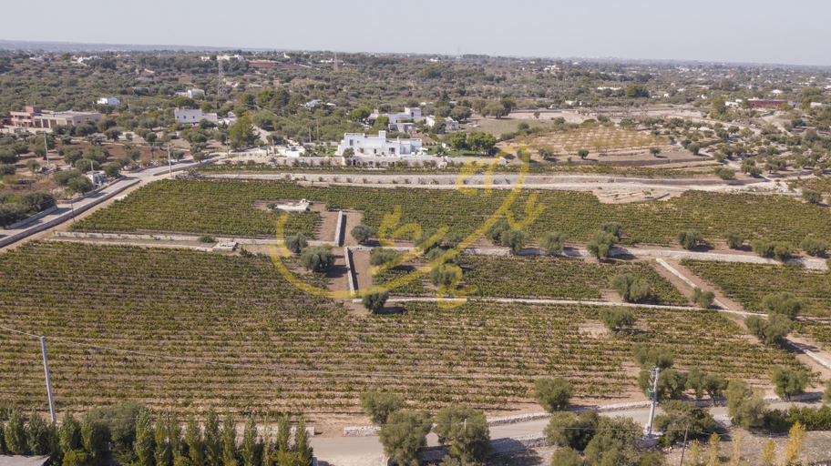 Aerial view 5, TD Casale Donna Madia Sea View Pool Over Vineyard, Bari