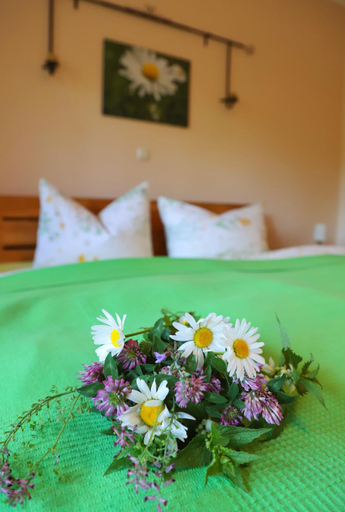Bedroom 3, Vitaleum, Saale-Orla-Kreis