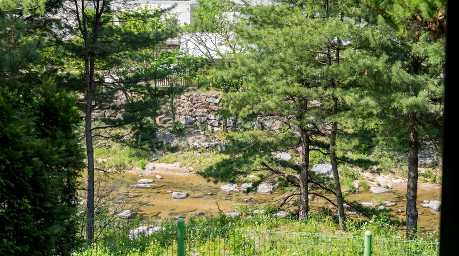 Room 3, Gapyeong Valley Scoop Pension, Gapyeong