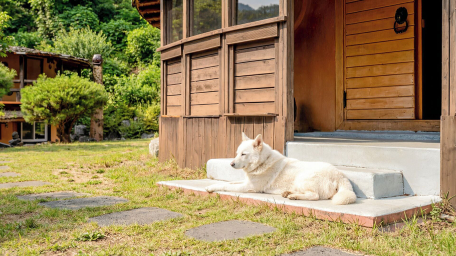 Room 2, Mungyeong Between Mountains Pet Pension, Mungyeong