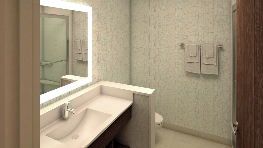 Bathroom, Holiday Inn Express Braselton West, Barrow