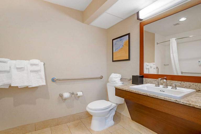 Bathroom 5, Comfort Suites Gastonia - Charlotte, Gaston