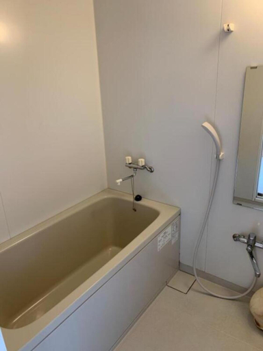 Bathroom 3, Shirakawago No Yu Hotel, Shirakawa Village